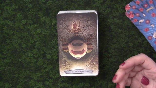 Animal Totem Tarot смотреть онлайн