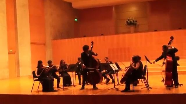 Karl Ditters Von Dittersdorf Concerto 2 for Doublebass and string orchestra. Gerardo Tandioy смотреть онлайн