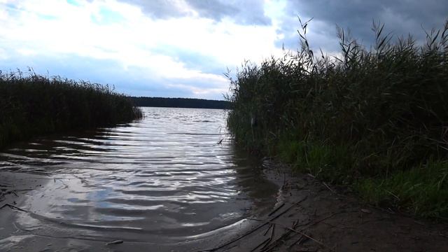 ЛОВЛЯ НА ФИДЕР ПЕРЕД ДОЖДЁМ. Поклёвка за поклёвкой смотреть онлайн