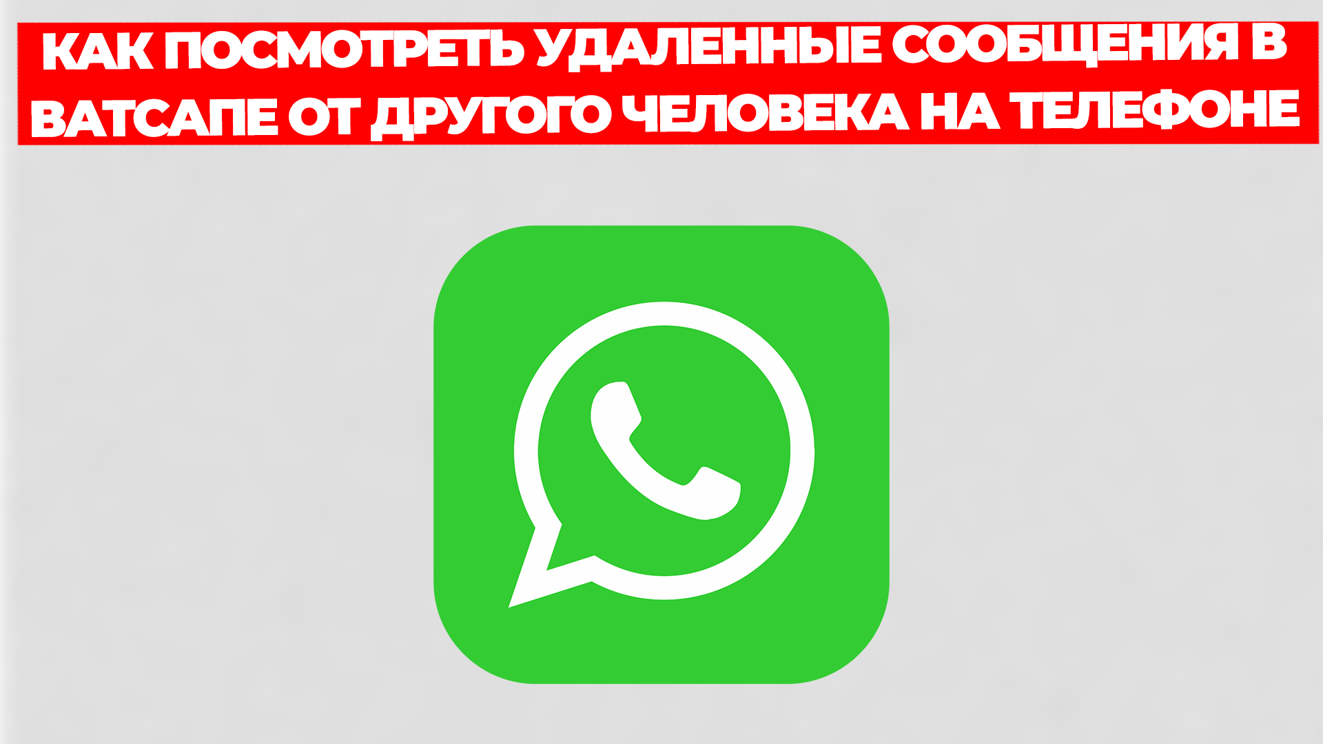 Всезнающий Енот