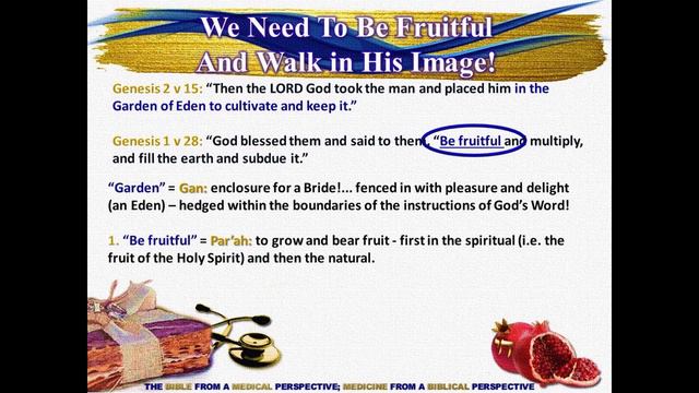 27.) THE ENEMY'S PLAN TO REMOVE THE IMAGE & NAME OF GOD FROM OUR DNA смотреть онлайн