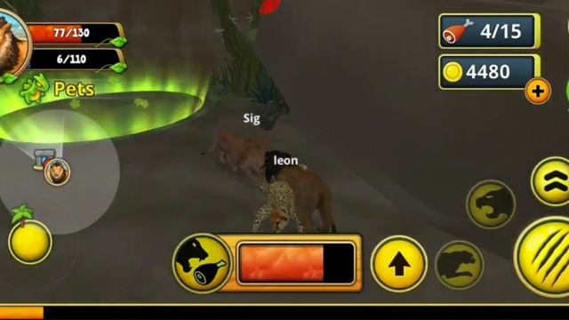 Wild Lion Hunting Animal - Lion racing Animals - Lion Family Hunt Simulator Game смотреть онлайн