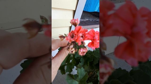 Ю пена дней смотреть онлайн