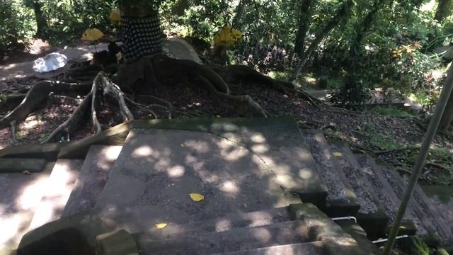 Goa Gajah Temple Bali|Bali Travel Guide|must see смотреть онлайн