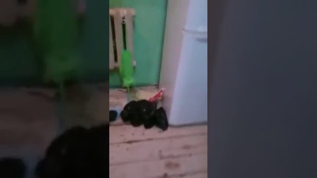 Приморский Край, СИЗО 1 Г ВЛАДИВОСТОК смотреть онлайн