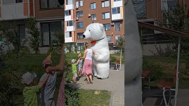 Мишутка поздравил смелого парня! Поздравление от белого медведя смотреть онлайн