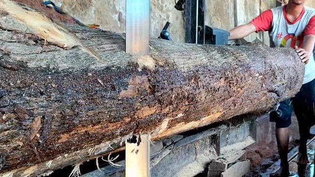 seharga yamaha N-Max,maling kayu jati ke tangkap saat sedang eksekusi.woodworking смотреть онлайн