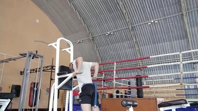 Ответка отжиманий на брусьях с гирей массой 24 кг смотреть онлайн