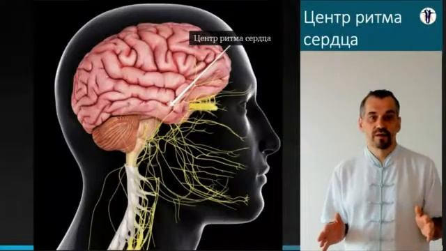 Лекторий сердце смотреть онлайн