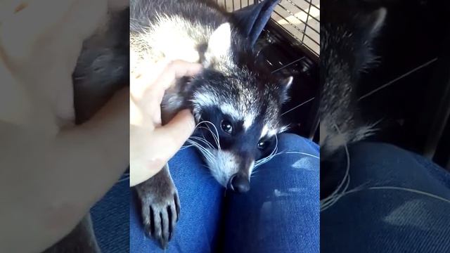 10 сентября 2016 г. смотреть онлайн