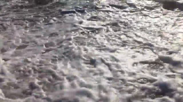 Malibu Los Angeles Pacific Ocean. Шутер от первого лица + наглые птицы. смотреть онлайн