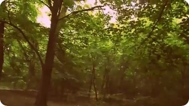 Аллея парка Горького смотреть онлайн