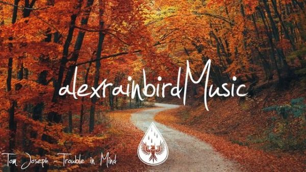 Indie/Indie-Folk Compilation - Autumn/Fall 2021 ? (1½-Hour Playlist)