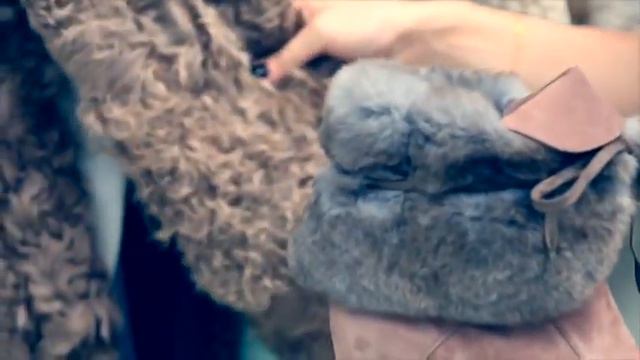 Гид по стилю обувной сети "Эконика", осень-зима 2014/2015: Меха ради! смотреть онлайн