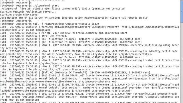 OTM 6.4.2 Installation Guide (Oracle Linux 6.3) - Part 24 - Start Stop Weblogic and OHS смотреть онлайн