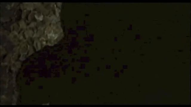 Il Plenilunio delle Vergini (Trailer Italiano) смотреть онлайн