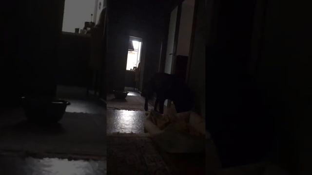 КЛИП ОТ МИГЕЛЯ///Migel LIFE смотреть онлайн