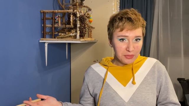 Человеческим языком: Как мы научили своего зелёного волнистика говорить / Говорящий попугайчик смотреть онлайн