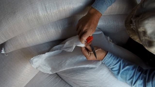 Предпосевная обработка семян озимой пшеницы смотреть онлайн