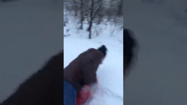 Первая реакция когда увидел Деда Мороза смотреть онлайн