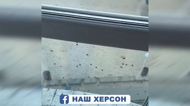 В Железном Порту нашествие божьих коровок смотреть онлайн