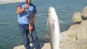 Рыбалка на Каспийском море