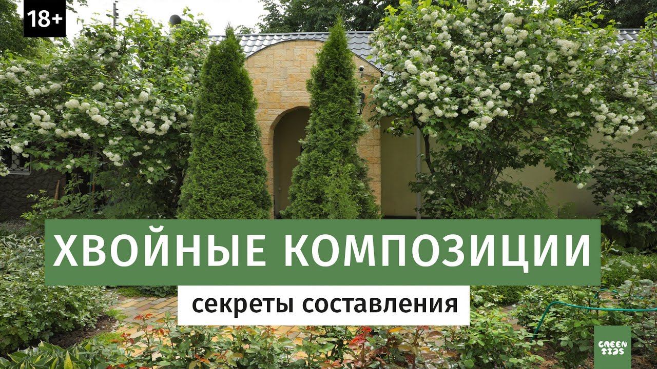 Хвойная композиция в саду. Секреты составления. смотреть онлайн