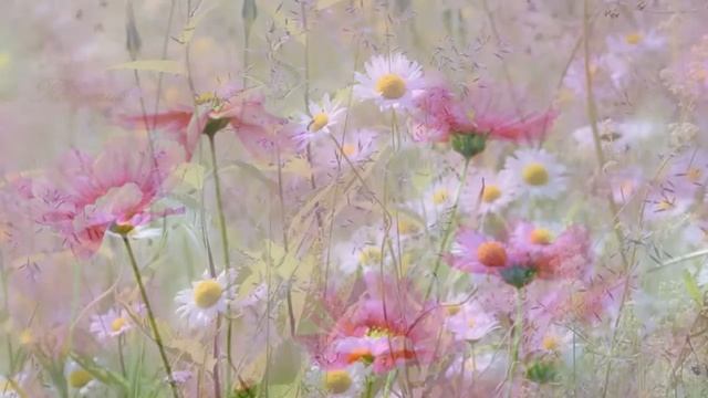 Релакс. "Шум реки и музыка". Монтаж Никитенкова Лариса. 19. 04. 2017г. смотреть онлайн