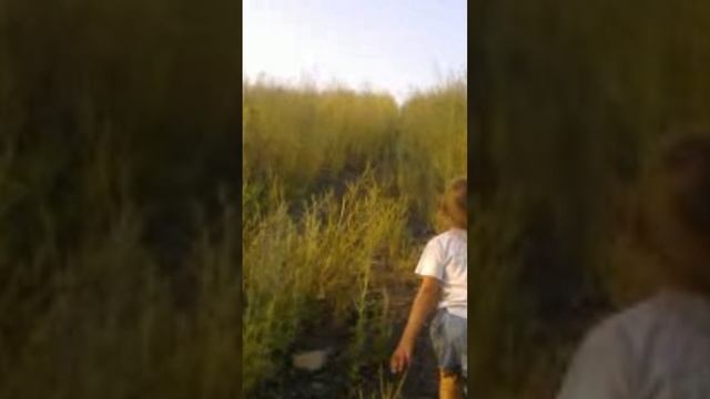 Упала шляпа, упала на террикон! #shorts смотреть онлайн