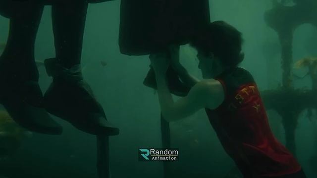 হ্যারি পটার -পার্ট-০৪ - savage420 | Random Video Channel @randomanimation498 смотреть онлайн