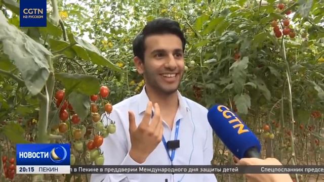 В пекинском районе Дасин модернизируют сельское хозяйство и развивают водородную энергетику смотреть онлайн