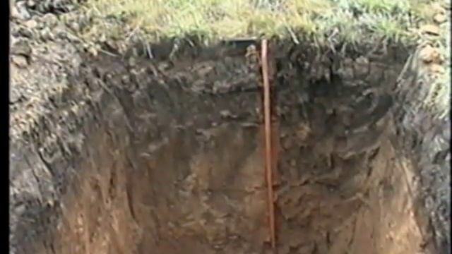 Солонец, солончак