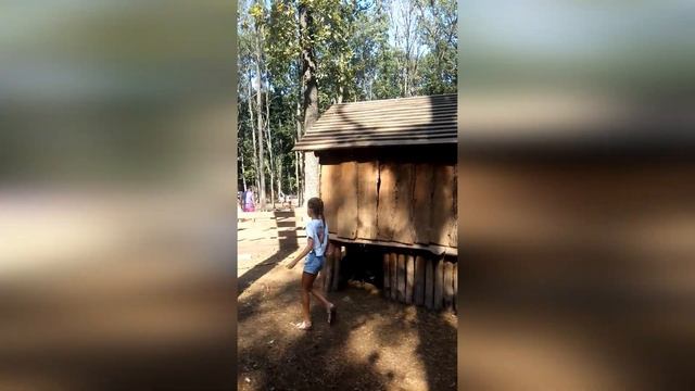 Харьков-Фельдман Экопарк ? Бесплатный зоопарк в Харькове смотреть онлайн