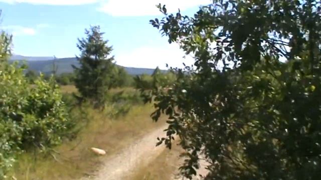 На гору Ослянка смотреть онлайн