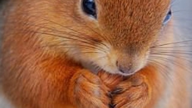 "Апрель" стихи и музыка Юрия Насыбуллина смотреть онлайн