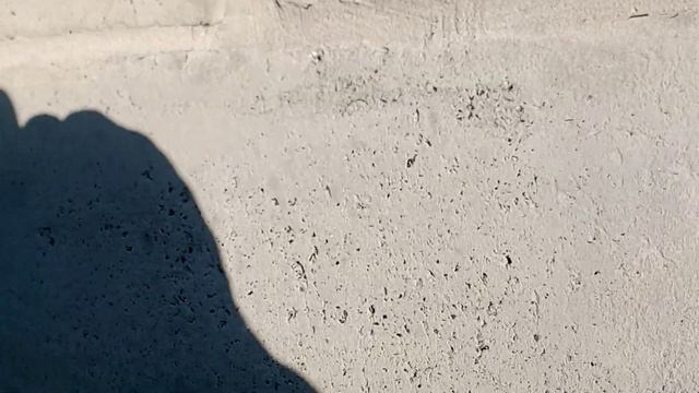 КОПЧЕНИЕ ИНДО-УТКИ. Часть вторая. смотреть онлайн