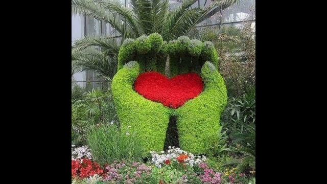 Топиарные фигуры из искусственной травы? смотреть онлайн