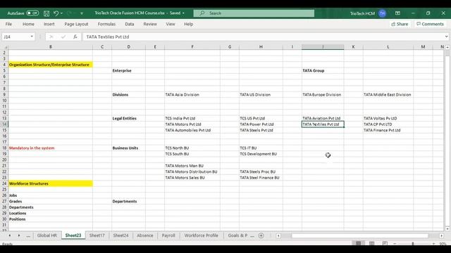 Organization Structure|Enterprise Structure in Oracle Fusion HCM | TrioTech Software trainings смотреть онлайн
