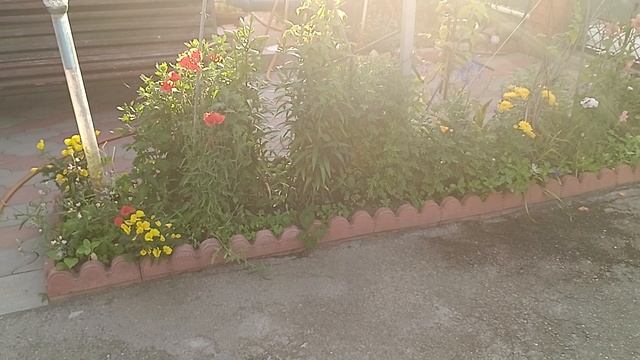 VID_20230611_190219.mp4 смотреть онлайн