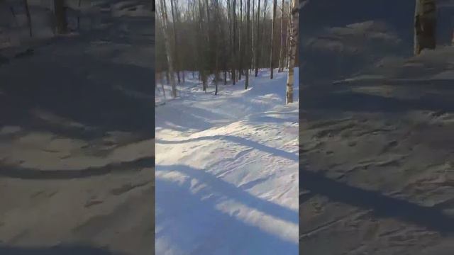 Покатушки ГЛК Губаха. Заехали в лес. смотреть онлайн