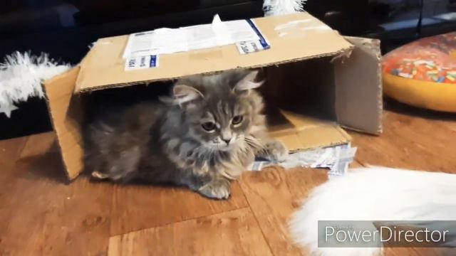 Влог: Маму положили в больницу, неожиданно! смотреть онлайн