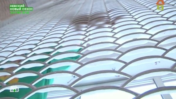 Dachni otvet 10.02.2019 дачный ответ на remont-online.net