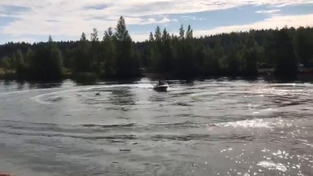 Афалина в поворотах смотреть онлайн