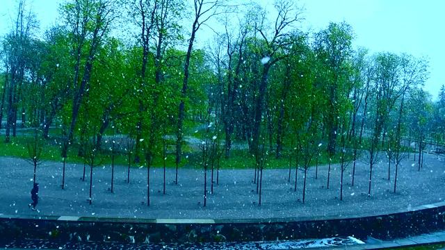 Французский язык от Eugene Sev. Le français d'Eugène Sev. Neige en mai 2020 смотреть онлайн