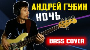 Андрей Губин - Ночь || Бас кавер