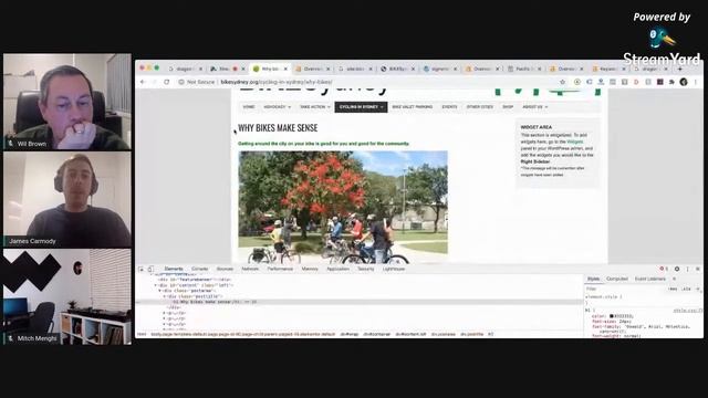 Live Website Audits смотреть онлайн