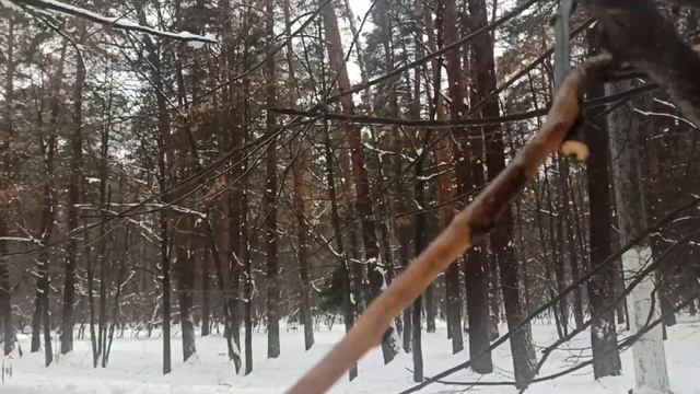 Секатору 4234 храповый "Красная Звезда" - лыжню! смотреть онлайн