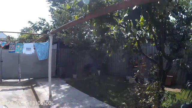 Обзор качества звука и видео SJCAM X1000 смотреть онлайн