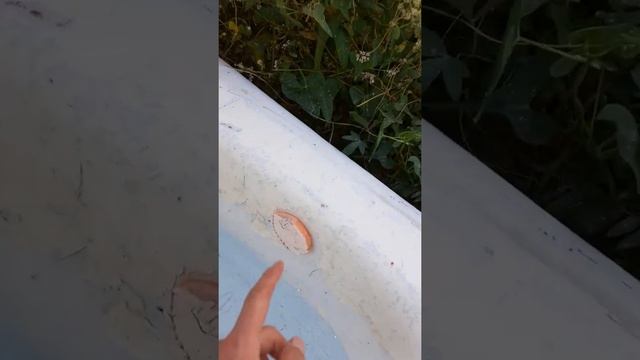 Пробка-заглушка для ванны своими руками смотреть онлайн