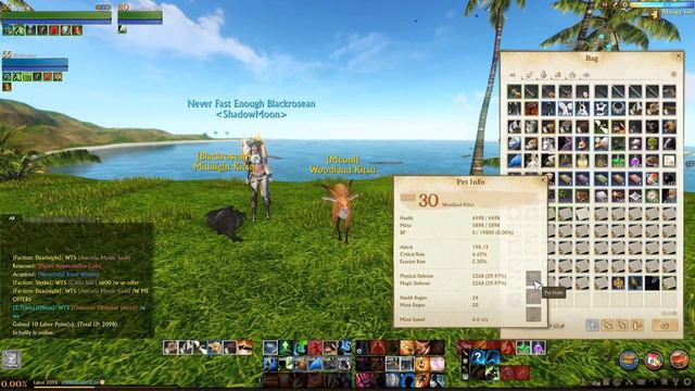 [Archeage] Kitsu Battle Pet's смотреть онлайн